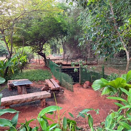 Bougan Villa Auroville Zewnętrze zdjęcie
